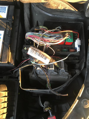 K800_IMG_9255.JPG