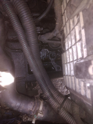 IMG_20201003_112906-min.jpg (679.9 KiB) 4758 mal betrachtet IMG_20201003_112906-min.jpg