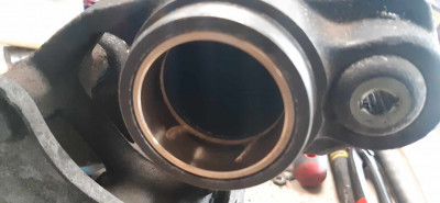 365579179_1338132627109758_4430747442978847780_n.jpg (83.11 KiB) 11730 mal betrachtet 365579179_1338132627109758_4430747442978847780_n.jpg