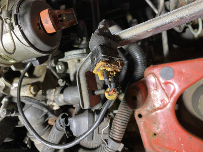 IMG_1342.jpg (486.33 KiB) 6058 mal betrachtet IMG_1342.jpg