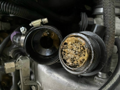 IMG_1044.jpg (159.93 KiB) 10812 mal betrachtet IMG_1044.jpg