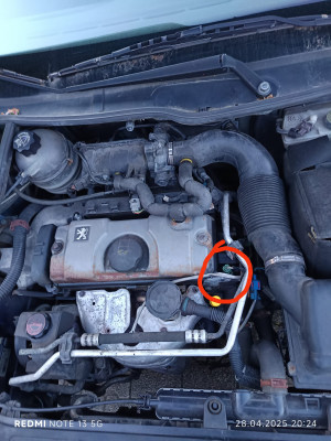 WhatsApp Bild 2025-05-07 um 20.54.45_e2a1bc51.jpg (325.53 KiB) 6244 mal betrachtet WhatsApp Bild 2025-05-07 um 20.54.45_e2a1bc51.jpg