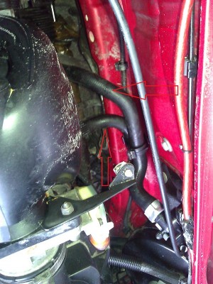 WP_000124.jpg (229.12 KiB) 2671 mal betrachtet WP_000124.jpg