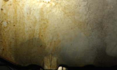 IMAG0768.jpg