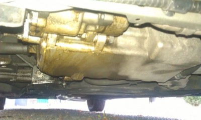 IMAG0769.jpg