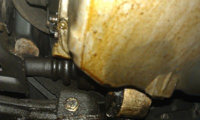 IMAG0772.jpg