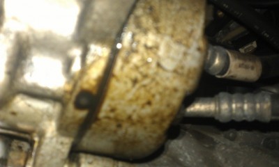 IMAG0770.jpg