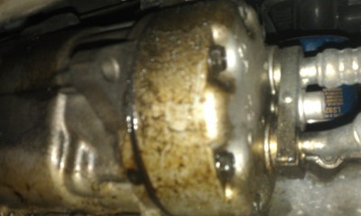 IMAG0784.jpg