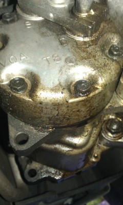 IMAG0785.jpg