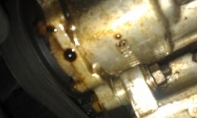 IMAG0787.jpg