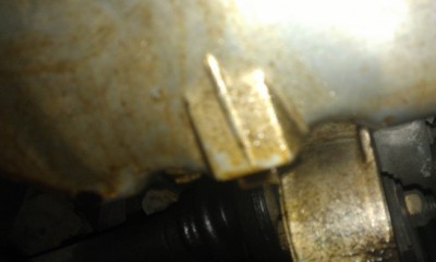 IMAG0786.jpg