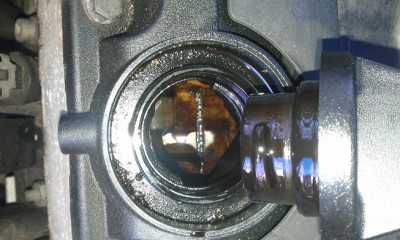 IMAG0778.jpg