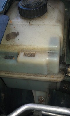 IMAG0779.jpg