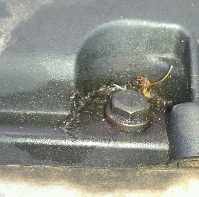 IMAG0822-1.jpg