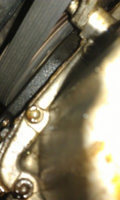 IMAG0832.jpg
