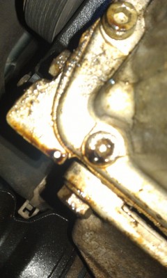 IMAG0834.jpg