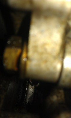 IMAG0835.jpg