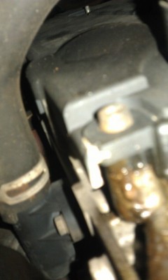 IMAG0837.jpg