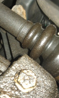 IMAG0838.jpg