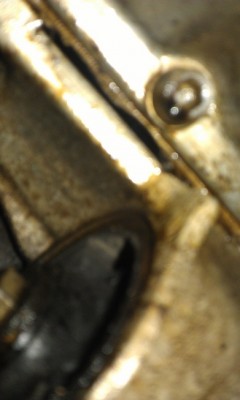 IMAG0839.jpg