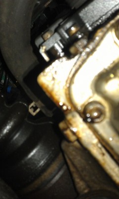 IMAG0840.jpg