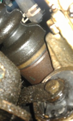 IMAG0841.jpg