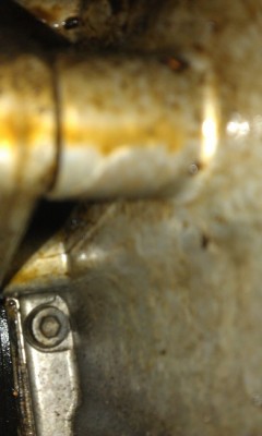 IMAG0842.jpg