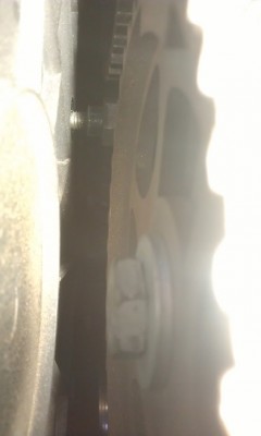 IMAG0850.jpg