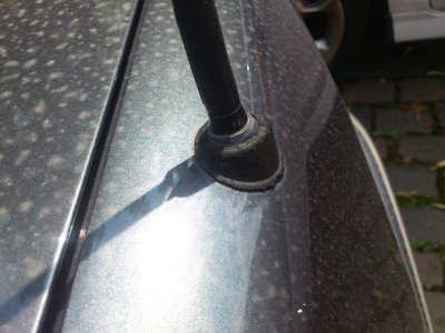 ant.jpg (103.89 KiB) 3492 mal betrachtet ant.jpg