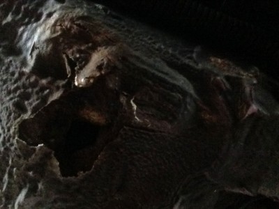 2014-08-17-12.52.05-(3).jpg (137.13 KiB) 4134 mal betrachtet 2014-08-17-12.52.05-(3).jpg