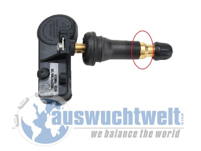 8363.jpg (195.57 KiB) 4787 mal betrachtet 8363.jpg