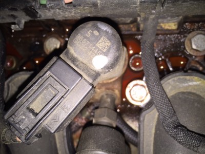 IMG_1744.JPG (124.81 KiB) 772 mal betrachtet IMG_1744.JPG