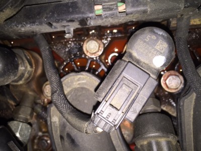 IMG_1746.JPG (133.77 KiB) 629 mal betrachtet IMG_1746.JPG