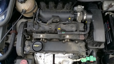 pgt.JPG (244.13 KiB) 2936 mal betrachtet pgt.JPG