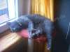 Userbild